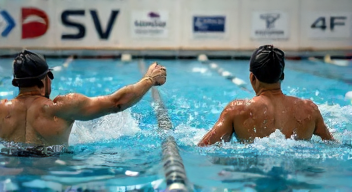 Ein Blick auf die Rolle des DSV (2/10)